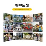 Sightseeing Carriage Factory - Black Convertible Electric Wedding Carriage