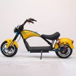 Electric Scooter Factory - Battery-type 2000W Adult Mini Motorcycles