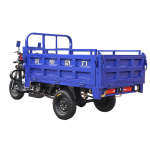 Tricycle Manufacturer - 250cc Passenger Cargo Gasoline Fuel