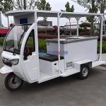 Electric Tricycle Factory - 60v Open Body Cargo Hopper