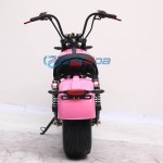Electric Bike Manufacturer - Hot Selling Seat Two-wheeled CE Certified