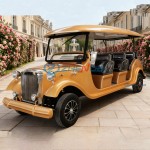 Sightseeing Vehicle Manufacturer - Factory Price Antique New Energy Outdoor