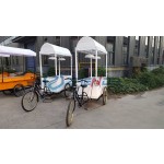 Electric Sightseeing Bus Manufacturer - Cartoon 14 Seats Open Top Tourist