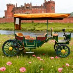 Sightseeing Carriage Manufacturer - Green Convertible Electric Vehicle