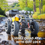 Quad ATV Factory - 300cc Manual Transmission EPA Certified