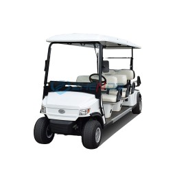 Golf Cart Manufacturer - Latest Customized Mini 2 Seater Hotel Scooter