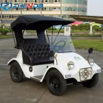 Golf Cart Factory - Customized Color Unique Trendy Special Transportation