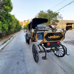 Electric Carriage Factory - Black 6 Seats CE Certified Stage Coach