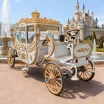 Wedding Carriage Manufacturer - Electric Royal Horse Drawn Vehicle