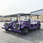 Electric Golf Cart Factory - Hot Selling 8 Seater Custom Low Prices