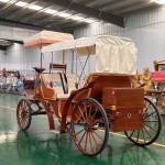 Wedding Carriage Manufacturer - Luxury Double Row Wood Grain Buggy