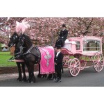 Horse Hearse Factory - 2023 Unique Custom Modern Funeral Supplies