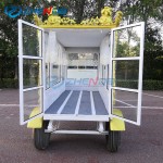 Horse Hearse Manufacturer - New Arrival Customizable Electric for Sale