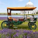 Sightseeing Carriage Manufacturer - Green Convertible Electric Vehicle