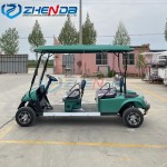 Electric Buggy Factory - 4 Passenger Off Road Tires Lithium Battery