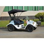 Golf Cart Factory - Customized Color Unique Trendy Special Transportation
