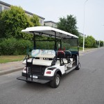 Golf Cart Manufacturer - Latest Customized Mini 2 Seater Hotel Scooter
