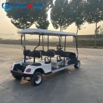 Golf Cart Factory - Customized Fashion Scenic Hotel Reception