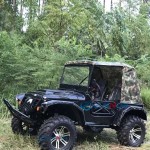 Vintage Car Factory - China Supplier Cheap Price Antique Classic