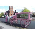 Horse Hearse Factory - 2023 Unique Custom Modern Funeral Supplies