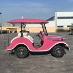 Antique Car Manufacturer - Electric Four-wheel 11 Seat Retro Scenic