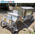 Electric Hearse Factory - 2023 Hot Selling White Gold Inlaid