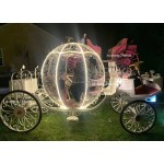 Funeral Vehicle Manufacturer - New Funeral Special Horse Hearse