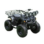ATV Bike Manufacturer - 125CC Automatic Chain Drive Transmission