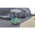 Snack Cart Manufacturer - Three-wheeled Freezer Human Traction