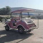 Antique Car Manufacturer - Electric Four-wheel 11 Seat Retro Scenic
