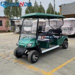 Electric Buggy Factory - 4 Passenger Off Road Tires Lithium Battery