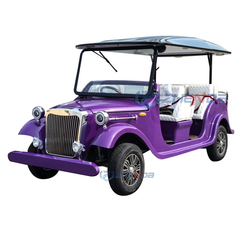 Electric Golf Cart Factory - Hot Selling 8 Seater Custom Low Prices