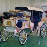 Sightseeing Carriage Manufacturer - Blue Convertible 4 Steel Wheels