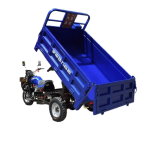 Tricycle Manufacturer - 250cc Passenger Cargo Gasoline Fuel