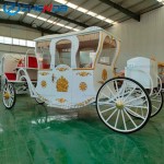 Sightseeing Carriage Manufacturer - Retro Classic Black Romantic Park