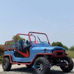 Electric Jeep Manufacturer - Off Road Mini Model 300cc Adult