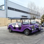 Electric Golf Cart Factory - Hot Selling 8 Seater Custom Low Prices