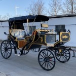 Electric Carriage Manufacturer - Black Four Wheel Sightseeing Vehicle