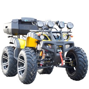 Quad ATV Factory - 300cc Manual Shaft Drive Differential Lock