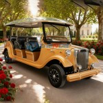 Sightseeing Vehicle Manufacturer - Factory Price Antique New Energy Outdoor