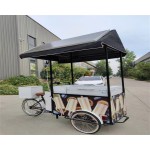 Beer Bike Factory - Customized Electric Human Powered Three-wheel