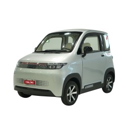 Electric Car Manufacturer - 2-Seater Mini Utility EEC Approved