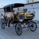Electric Carriage Manufacturer - Black Four Wheel Sightseeing Vehicle
