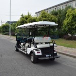 Electric Golf Car Manufacturer - Factory Price 4 Seater Luxury Lithium Battery