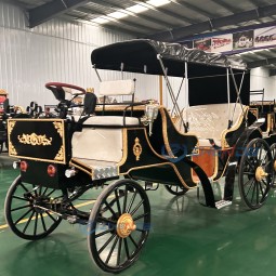 Sightseeing Carriage Factory - Black Convertible Electric Wedding Carriage