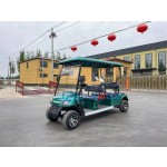Electric Buggy Factory - 4 Passenger Off Road Tires Lithium Battery