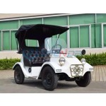 Golf Cart Factory - Customized Color Unique Trendy Special Transportation