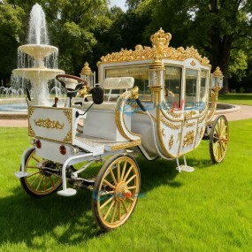 Wedding Carriage Manufacturer - Electric Royal Horse Drawn Vehicle