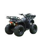 ATV Bike Manufacturer - 125CC Automatic Chain Drive Transmission
