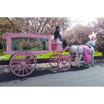 Horse Hearse Factory - 2023 Unique Custom Modern Funeral Supplies